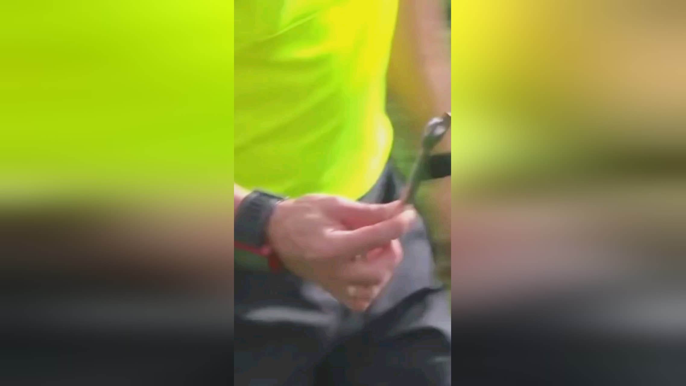 态系统